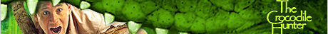 top_banner.jpg